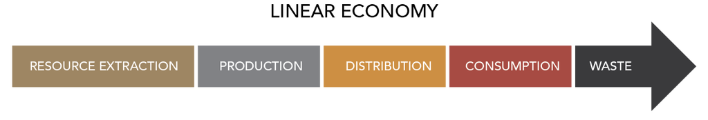 linear vs circular economy