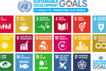 SDG circular economy